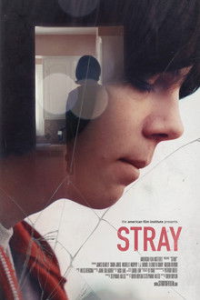 Stray poster