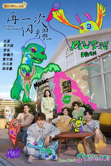 再一次闪耀 poster