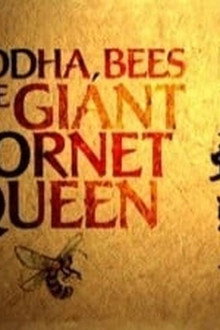 Buddha, Bees and the Giant Hornet Queen