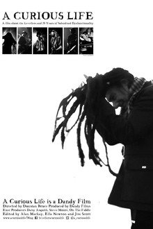 A Curious Life poster