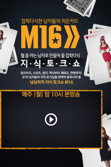 잡학다식한 남자들의 히든카드 M16 poster