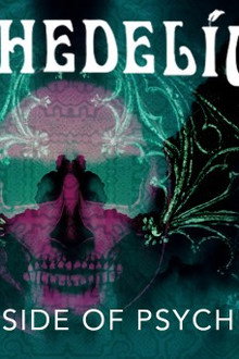 The Shadow Side of Psychedelics