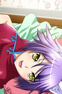 Fall, a Summer Experience