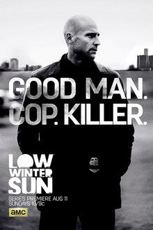 Low Winter Sun poster