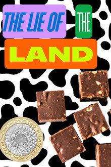 The Lie of the Land poster