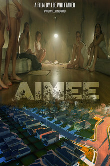 The Vigilante poster