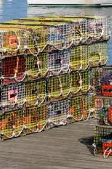 Lobsters, Chesterfield Sofas, 4K Television