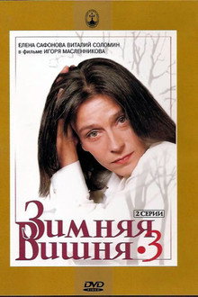 Winter Cherry 3 poster