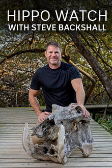 Hippo Watch with Steve Backshall poster