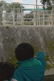 A Walking Path Where You Can See Giraffes