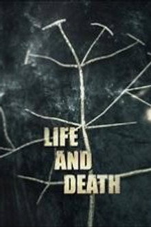 Life and Death