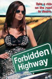 Forbidden Highway poster