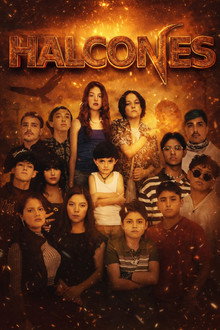Halcones poster