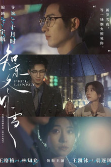 知京冬风雪 poster