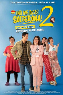 Don't Call Me Spinster 2 poster