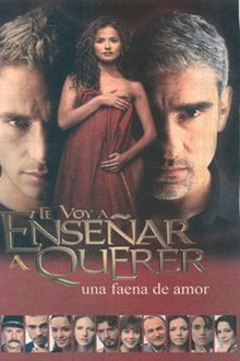 Te voy a enseñar a querer poster