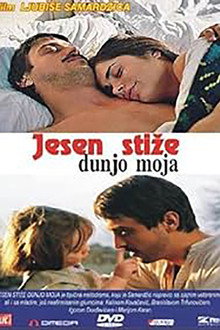 Goose Feather poster