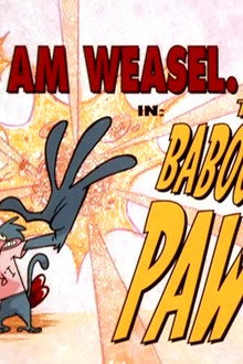 The Baboon's Paw
