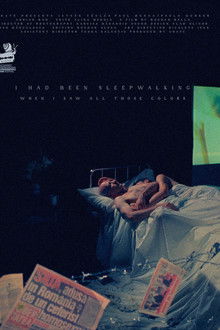 I Had Been Sleepwalking When I Saw All Those Colors poster