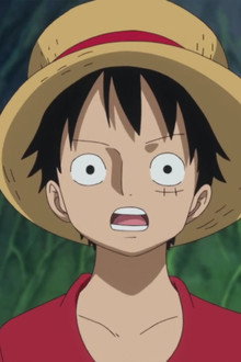 A Vow Between Two Men - Luffy and Kozuki Momonosuke