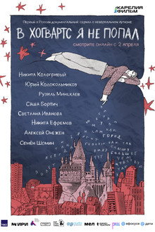 I Didn't Get Into Hogwarts poster