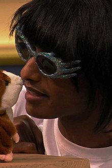 Hamsters and Flutes