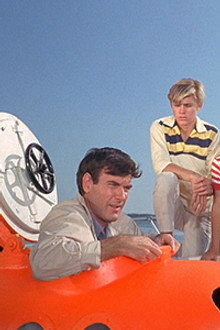The Call of the Dolphin