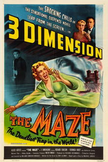 The Maze poster