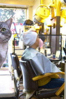 In Tokyo's Shinjuku neighborhood