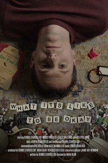 What It’s Like to Be Okay poster