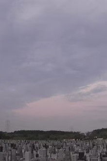 In a Cemetery Looking Up at the Great Buddha
