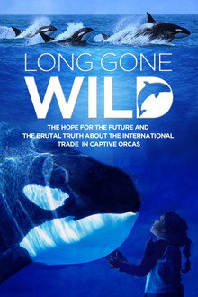Long Gone Wild poster
