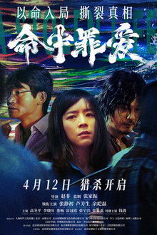 A Stolen Life poster