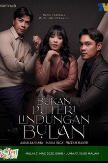 Bukan Puteri Lindungan Bulan poster