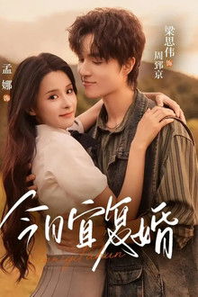 今日宜复婚 poster