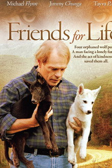 Friends for Life poster
