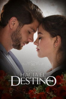 Road to Destiny poster