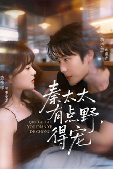 Doting Feisty Mrs. Qin poster