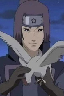 Hidden Jutsu! The Price of the Ninja Art: Kujaku