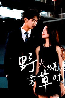 野火烧尽芳草时 poster