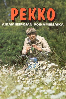 Pekko aikamiespojan poikamiesaika poster