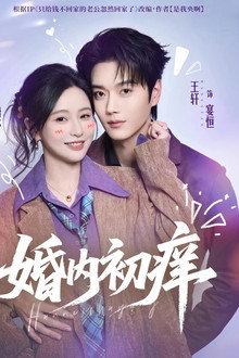 婚内初痒 poster