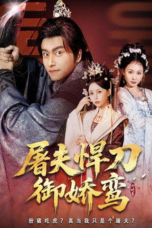 屠夫悍刀御娇鸾 poster