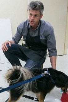 How to Pet a Dog