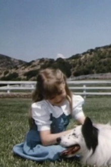 Man's Best Friend (1)