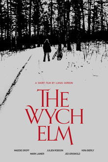 The Wych Elm poster