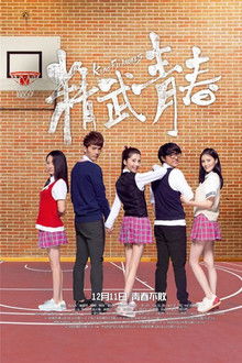 Kung Fu Angels poster