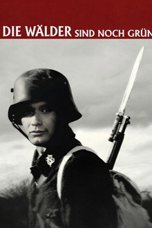 The Woods Are Still Green poster