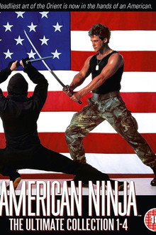 Ninja Gaijin: Remembering a Classic Cannon Franchise poster