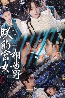 朕的宫女相当野 poster